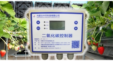 中國北方CO?新技術(shù)，將促進(jìn)農作物光合作用和光合產(chǎn)物的生成